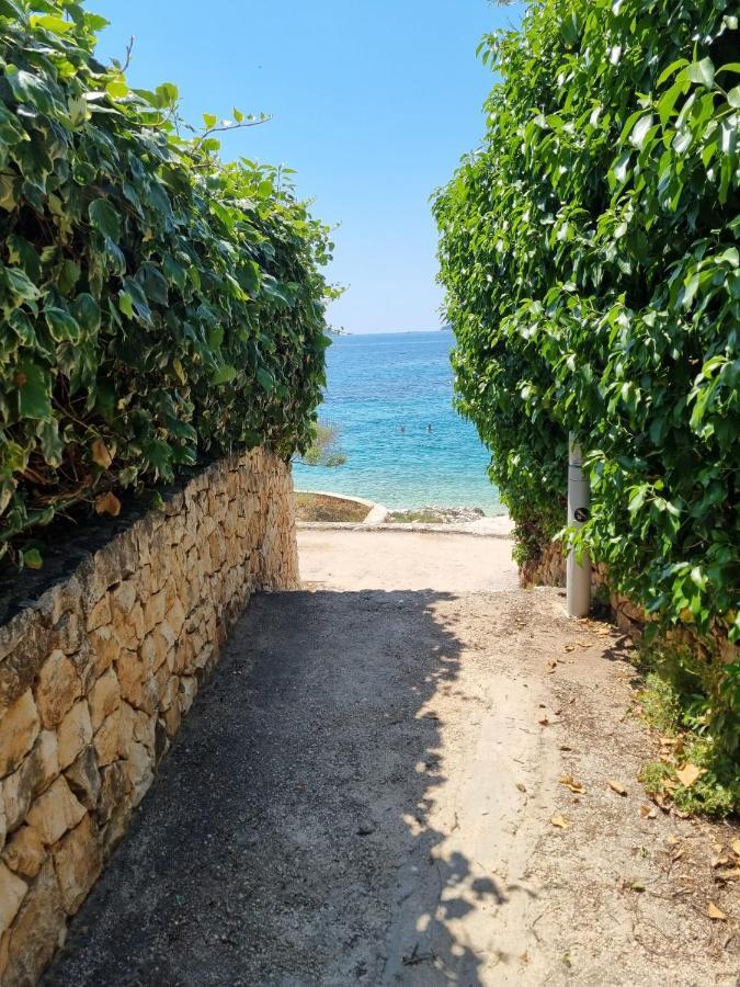 Sea View Apartment روغوزنيكا المظهر الخارجي الصورة